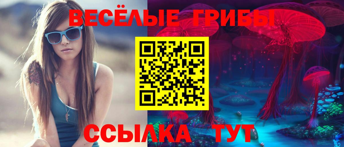 Галлюциногенные грибы прущие грибы  Галлюциногенные грибы Magic Shrooms  хочу   Осинники  Вход с VPN 