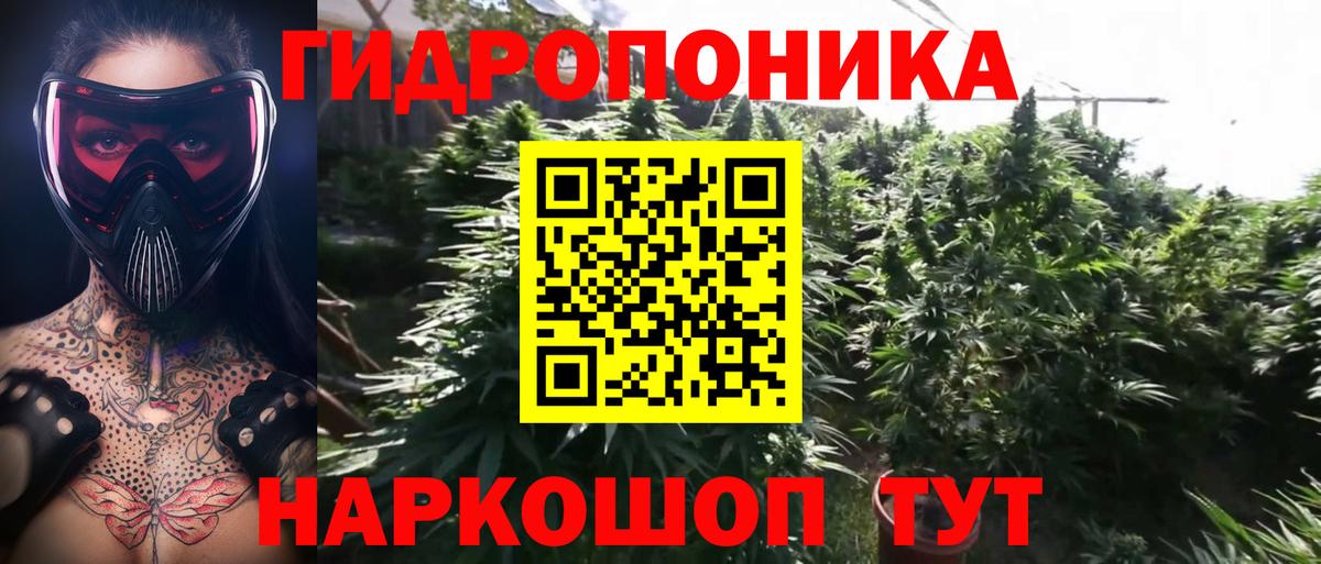 Марихуана индика Осинники